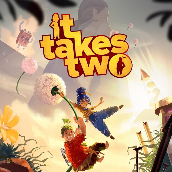  اکانت قانونی It Takes Two