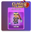 اسکین pixel Champion