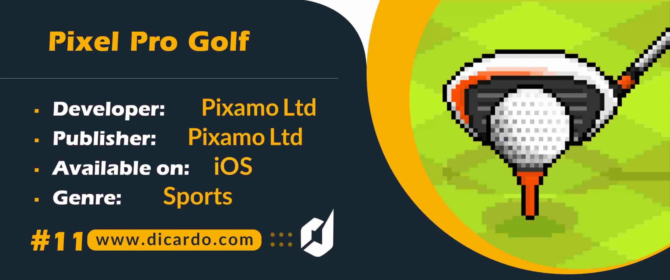 #11 پیکسل پرو گلف Pixel Pro Golf